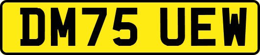 DM75UEW