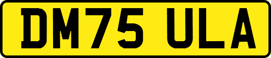 DM75ULA