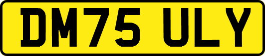 DM75ULY