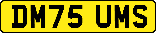 DM75UMS