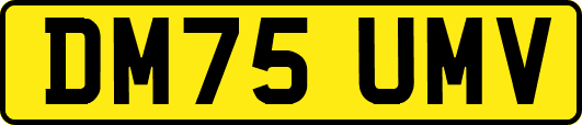 DM75UMV