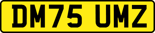 DM75UMZ