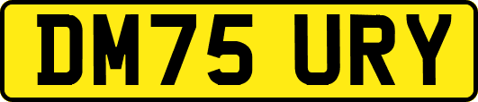 DM75URY