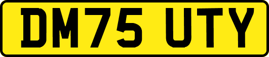 DM75UTY