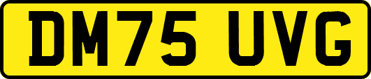 DM75UVG