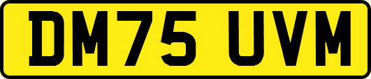 DM75UVM