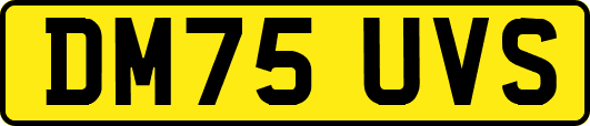 DM75UVS