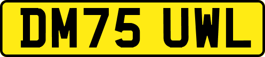 DM75UWL