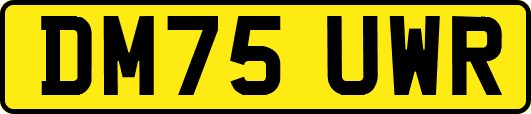 DM75UWR