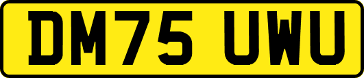DM75UWU
