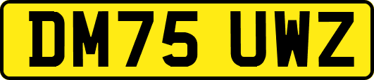 DM75UWZ