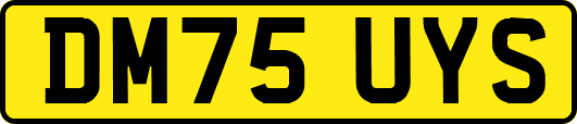 DM75UYS