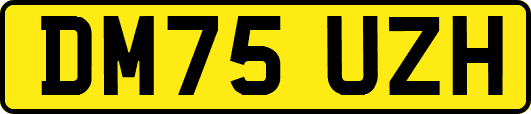 DM75UZH