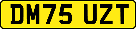 DM75UZT