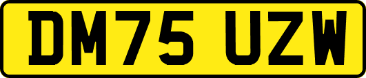 DM75UZW