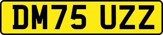 DM75UZZ