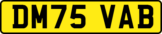 DM75VAB