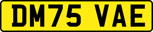 DM75VAE