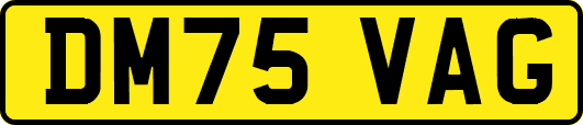 DM75VAG