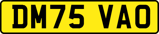 DM75VAO