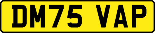 DM75VAP