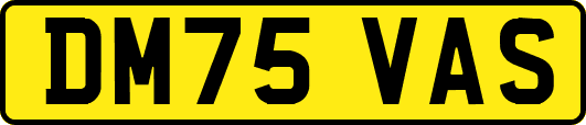 DM75VAS