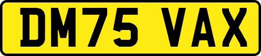 DM75VAX