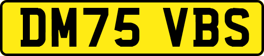 DM75VBS