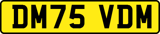 DM75VDM