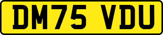 DM75VDU