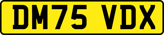 DM75VDX