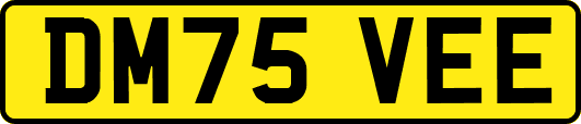 DM75VEE