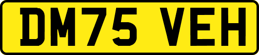 DM75VEH