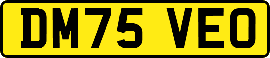 DM75VEO