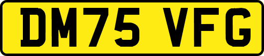 DM75VFG