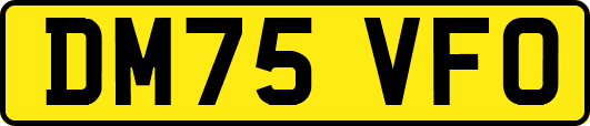 DM75VFO
