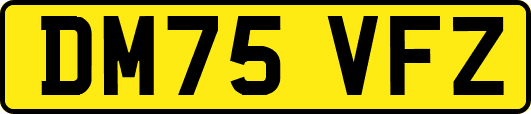 DM75VFZ