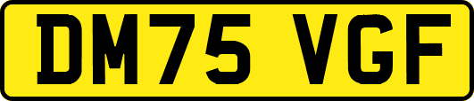 DM75VGF