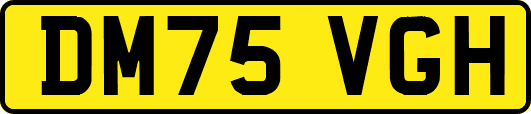 DM75VGH