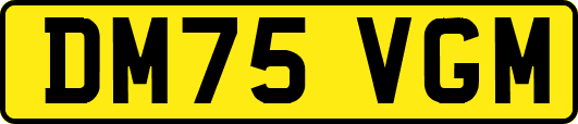DM75VGM