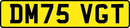 DM75VGT
