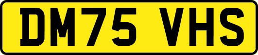 DM75VHS
