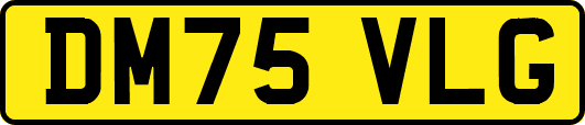 DM75VLG