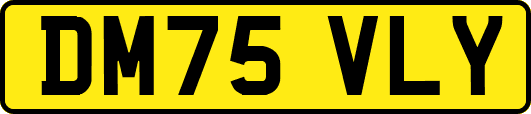 DM75VLY