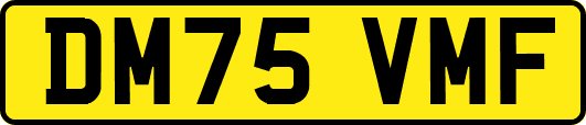 DM75VMF