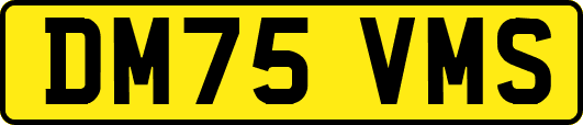 DM75VMS