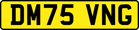 DM75VNG