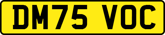 DM75VOC