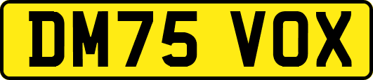 DM75VOX