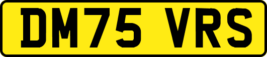 DM75VRS